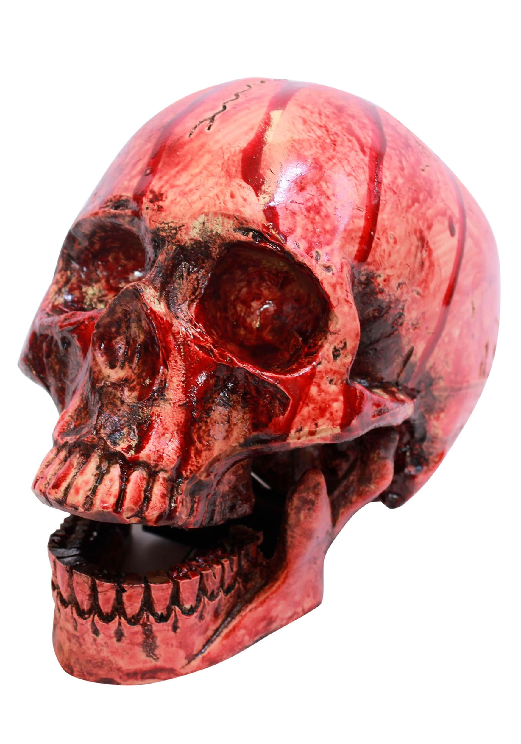 Bloody Resin Skull Halloween Prop | Skeletons & Skulls