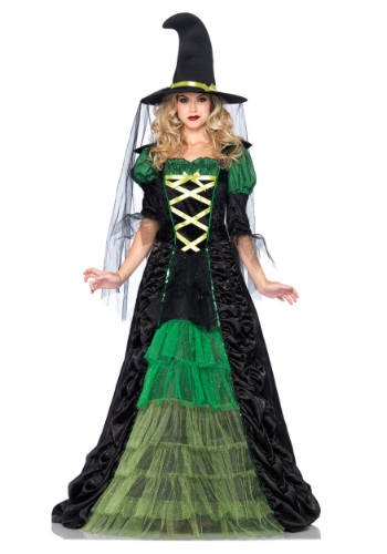Women&#39;s Storybook Witch Costume