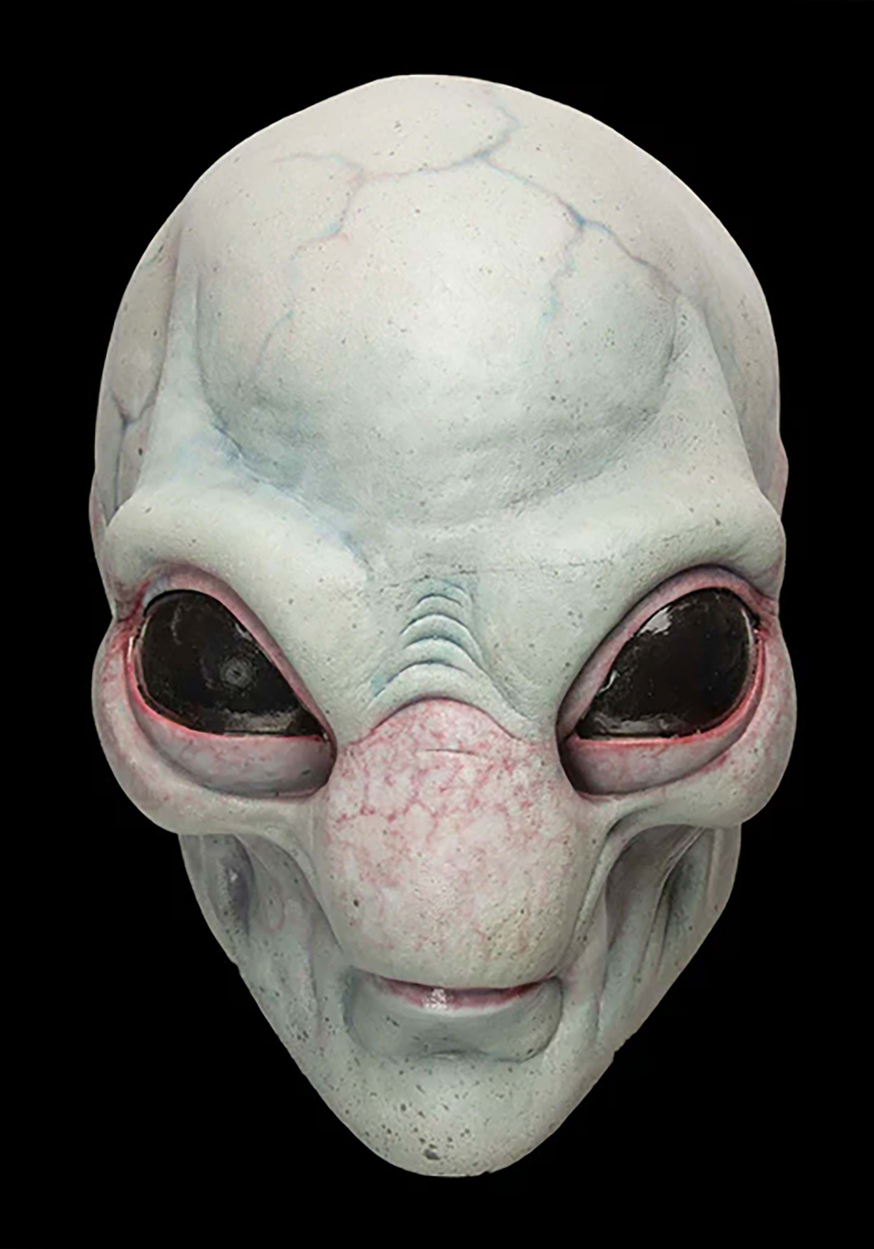 Alien Visitor Adult Mask