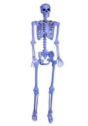 Blacklight 60 Inch Ghostly Skeleton Prop