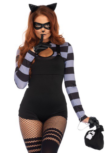 Cat Burglar Women&#39;s Costume