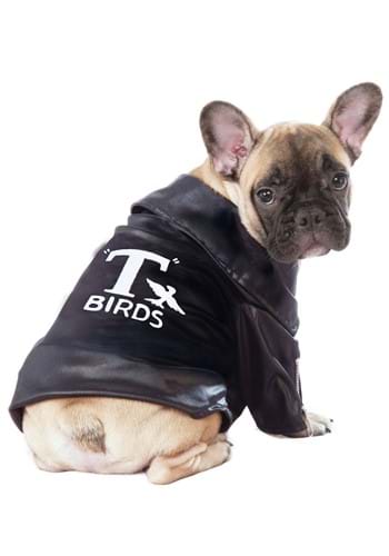 Grease T-Bird Jacket Pet Dog Costume