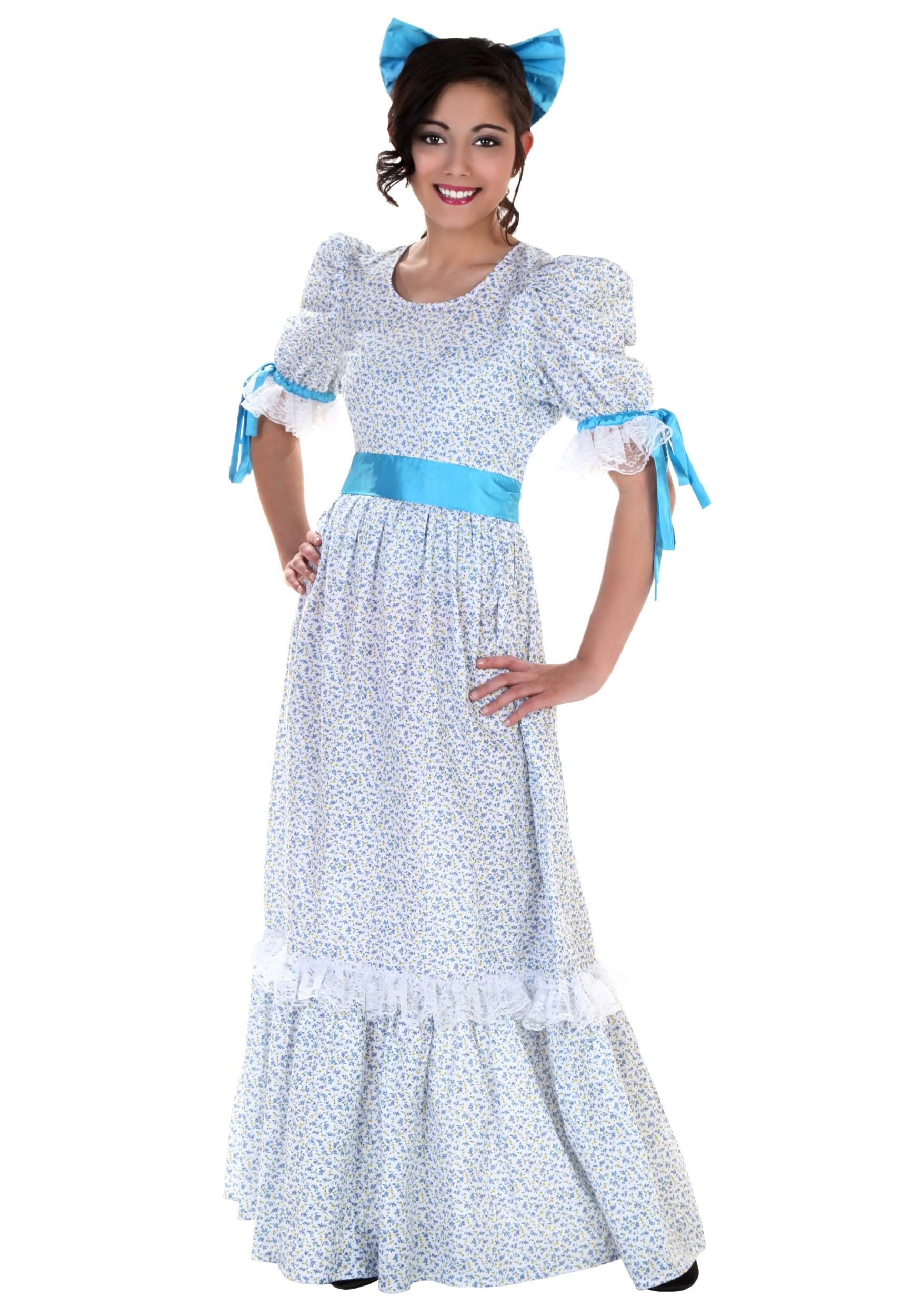 Classic Wendy Women's Costume Dress | Storybook Costumes