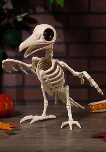 10.5&quot; Creepy Raven Skeleton Prop