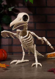 10.5" Creepy Raven Skeleton Prop