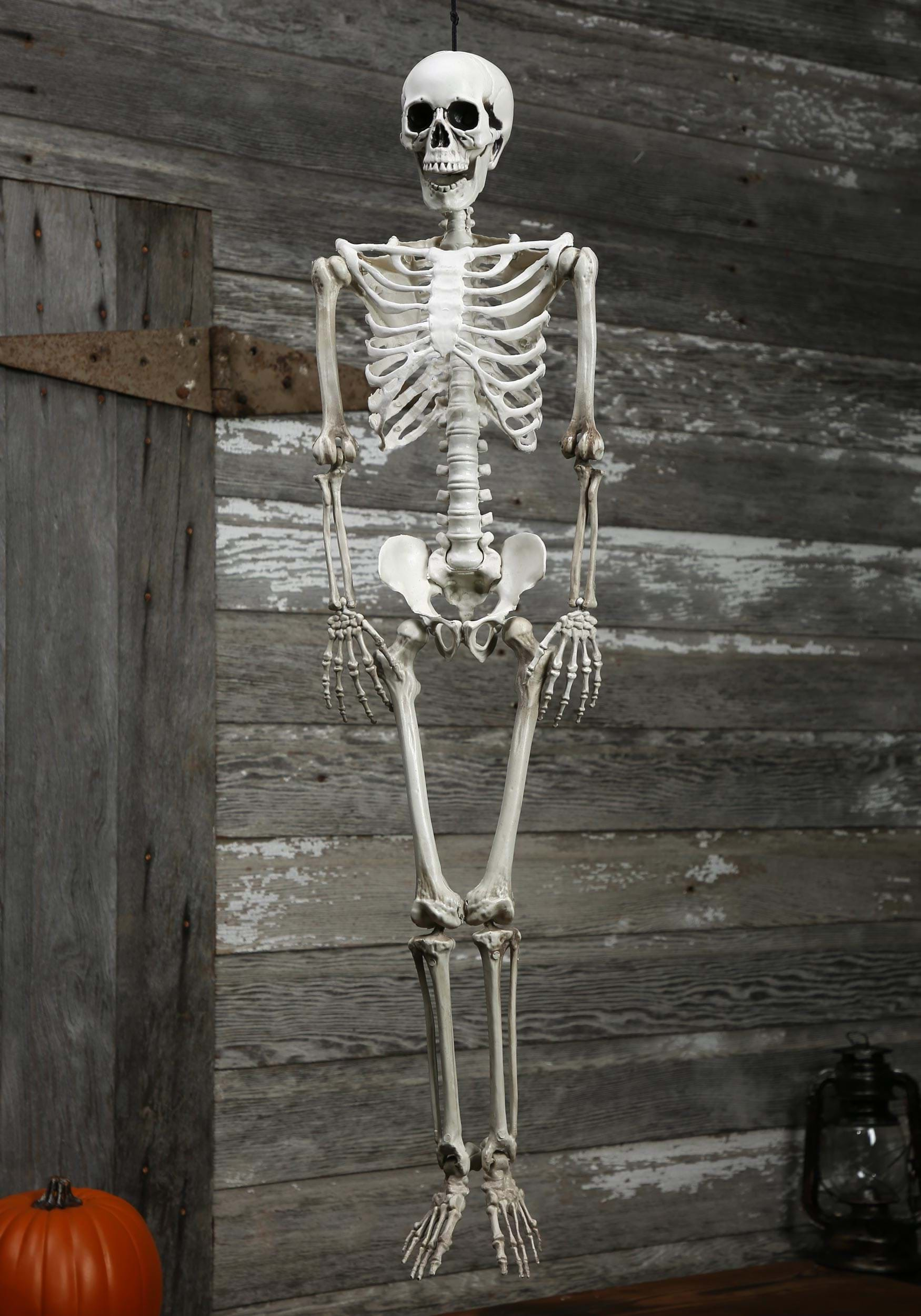 36-Inch Plastic Realistic Skeleton Halloween Prop | Skeleton Decorations