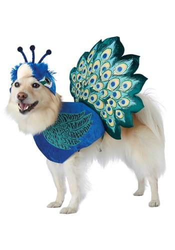Pretty as a Peacock Pet Costume for Dogs