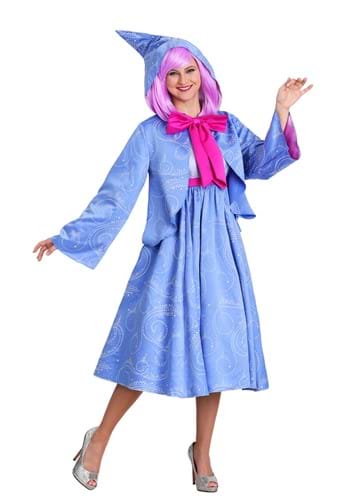 Plus Size Women&#39;s Cinderella Fairy Godmother Costume