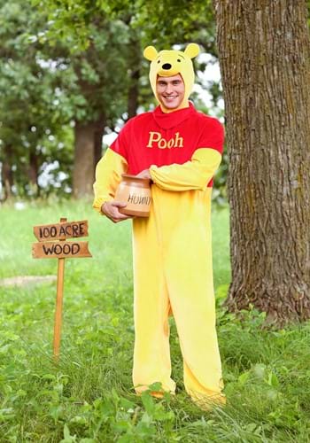 Adult Plus Size Winnie the Pooh Deluxe Costume