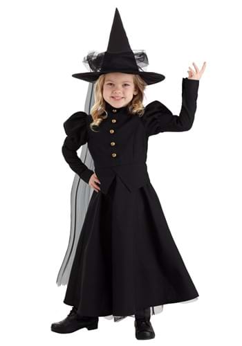Girl&#39;s Toddler Deluxe Witch Costume