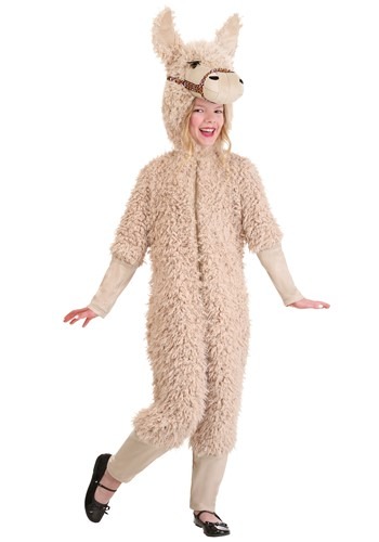 Kid&#39;s Llama Costume