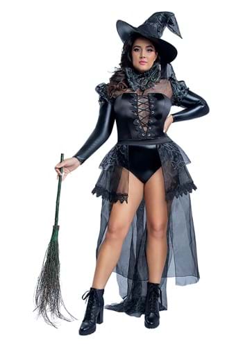 Plus Size Women&#39;s Wicked Witch Costume
