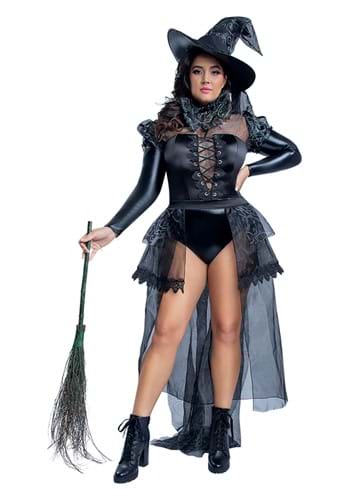 Plus Size Wicked Witch Costume for Women