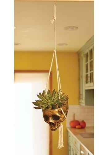 Gold Color Hanging Skull Planter | Hanging Decorations