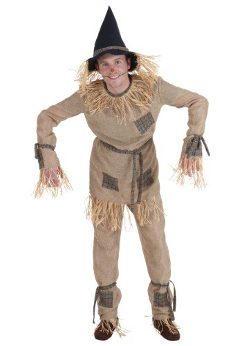 Plus Size Silly Scarecrow Costume for Men