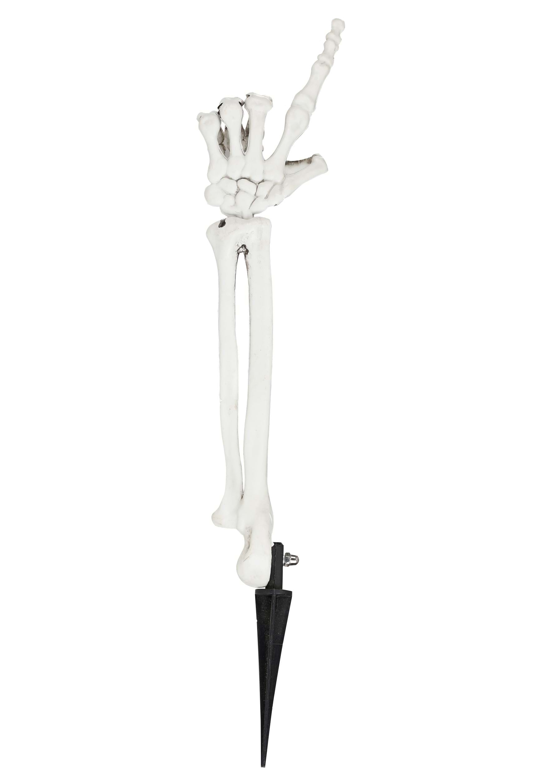 15-Inch Boney Skeleton Arm Prop Decoration | Skeleton Decorations