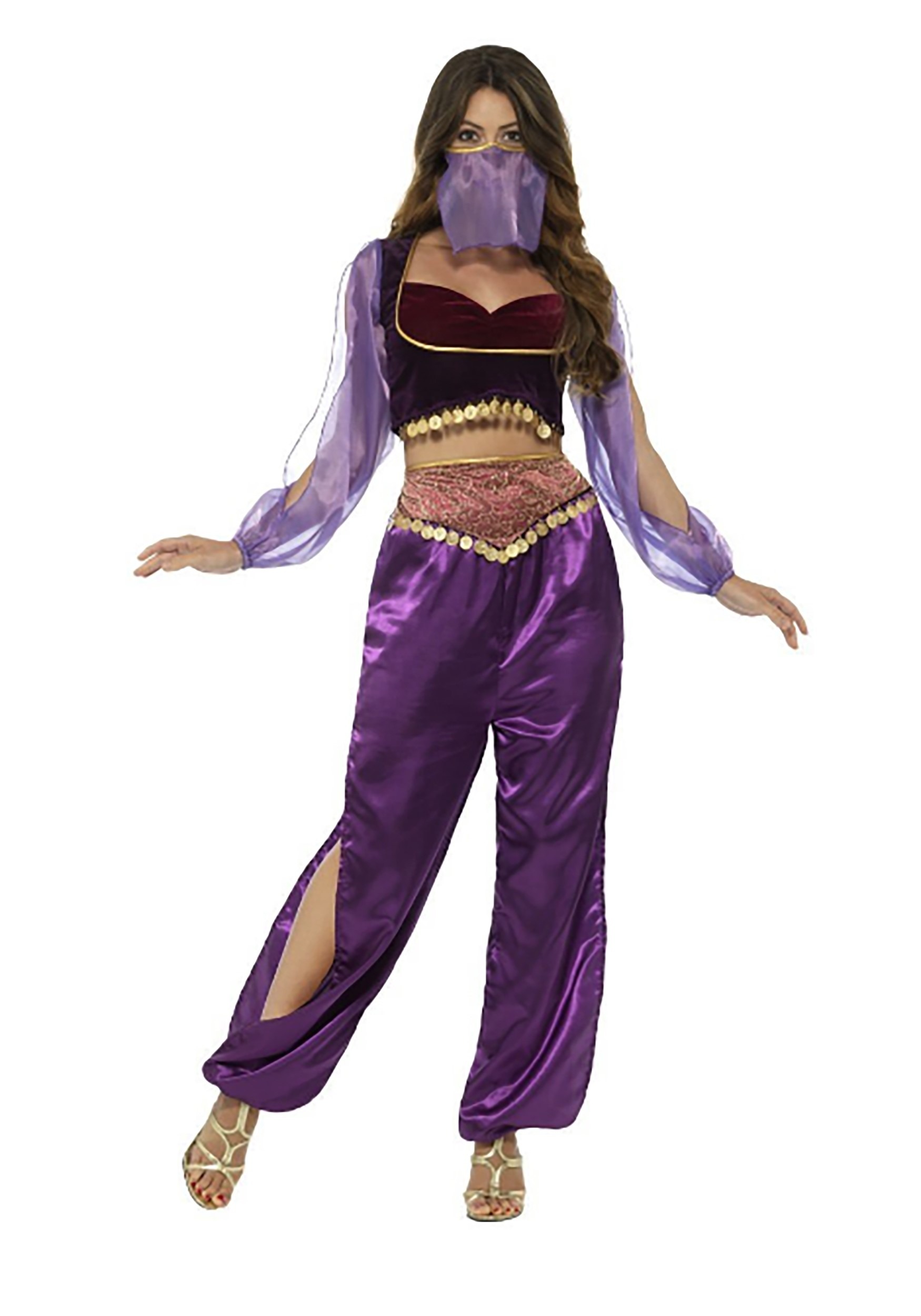 Purple Belly Dancer Costume for Women | International Costumes