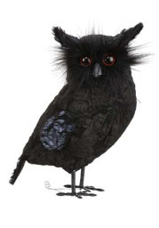 Black Owl Halloween Prop