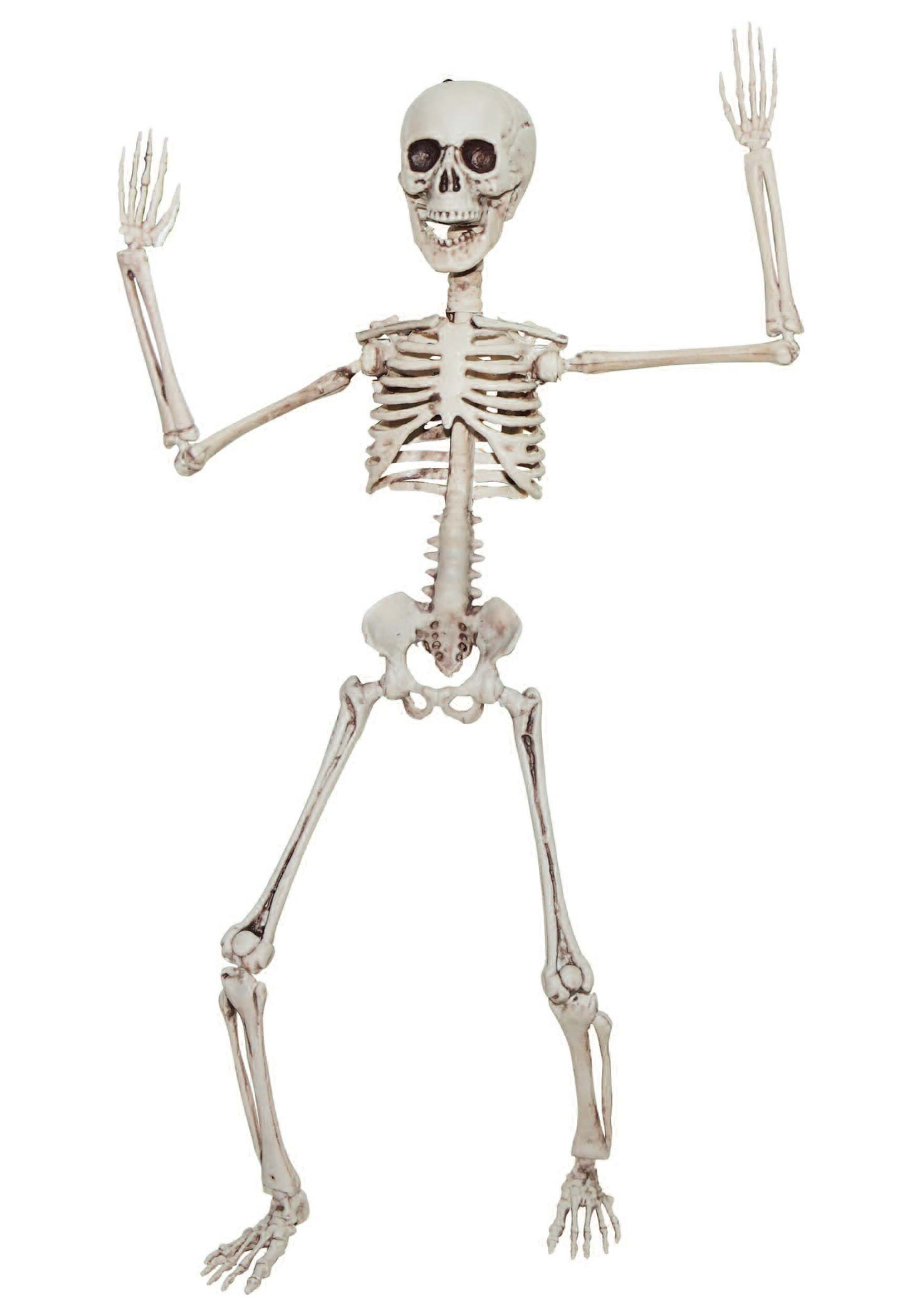 Poseable 20 Inch Skeleton Prop | Skeleton Decorations