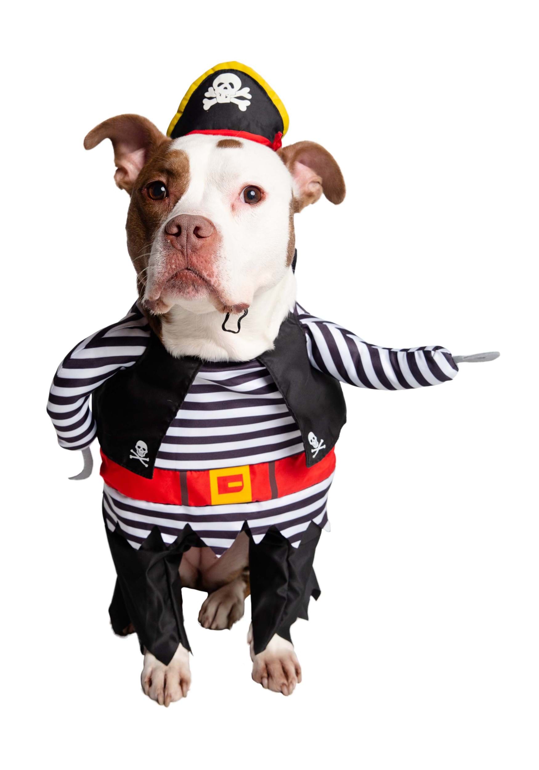Pet Classic Pirate Costume | Costumes for Dogs & Cats