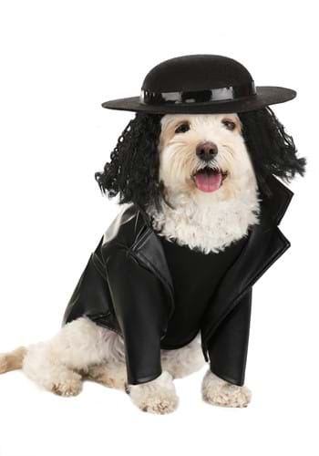 The Undertaker Dog Costume