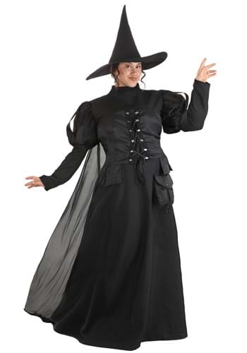Plus Size Premium Wayward Witch Costume for Women