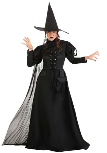 Adult Premium Wayward Witch Costume