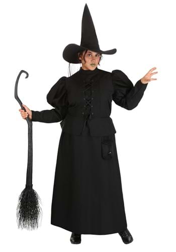 Plus Size Women&#39;s Wizard of Oz Wicked Witch Costume