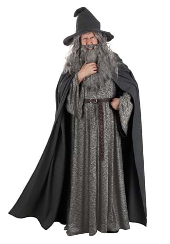 Plus Size Gandalf Lord of the Rings Costume for Men