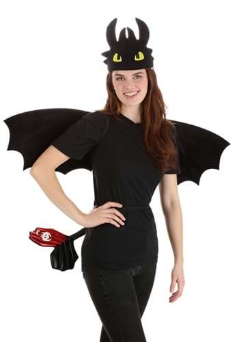 How to Train Your Dragon Toothless Costume Kit