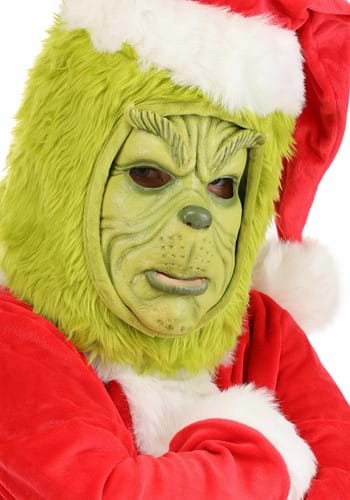 Kid&#39;s Dr. Seuss The Grinch Costume Mask