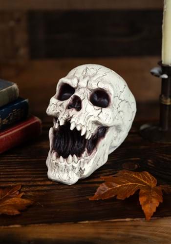 Resin Skull with Sharp Teeth Decoration