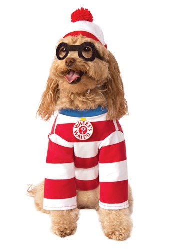 Where&#39;s Waldo Pet Costume