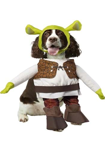Pet Shrek Costume