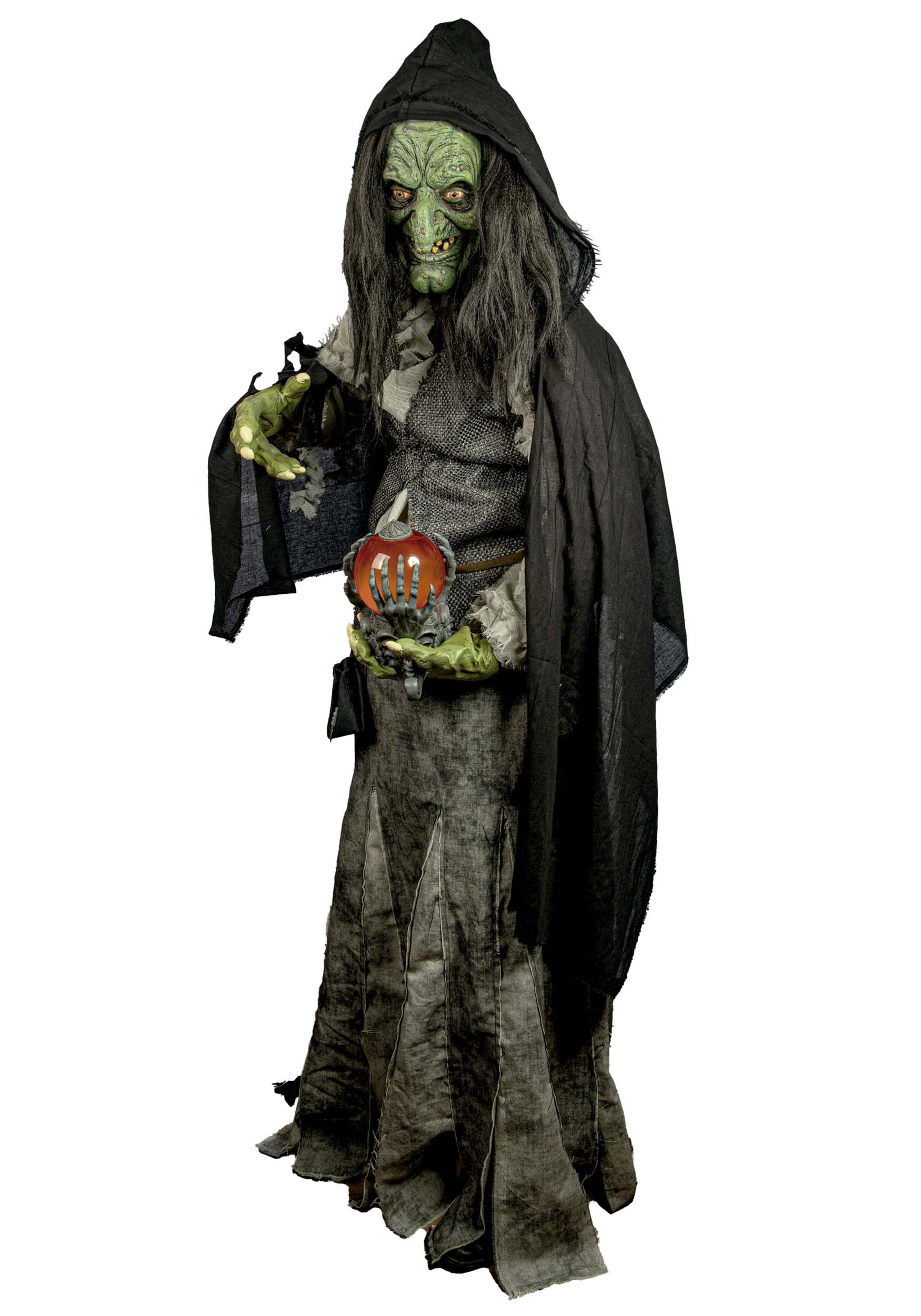 Premium Evil Green Witch Adult Costume | Scary Witch Costumes