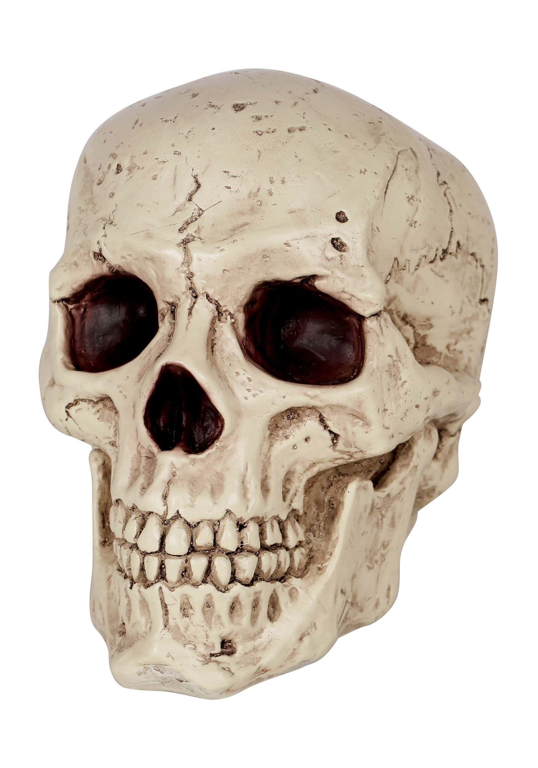 Resin Classic Skull Halloween Prop | Skull Decorations