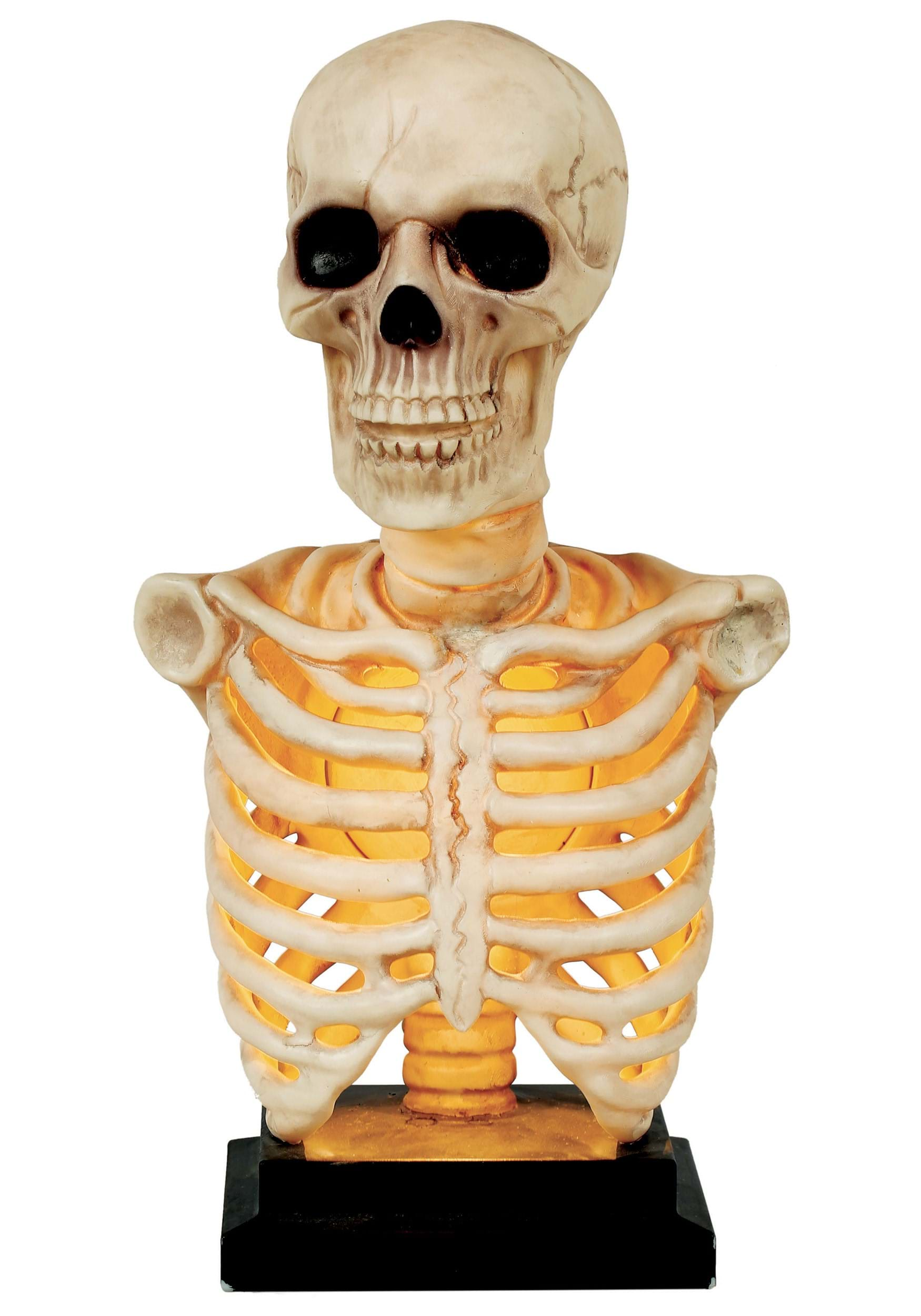 16-Inch Skeleton Bust with Light & Sound Prop | Skeleton Decorations