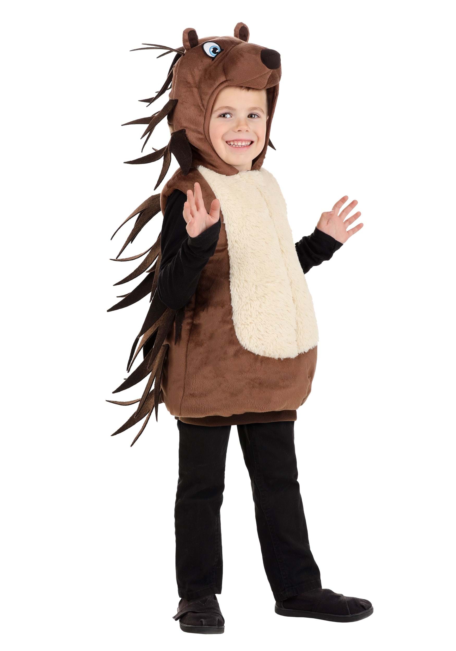 Porcupine Costume for Toddlers | Kid