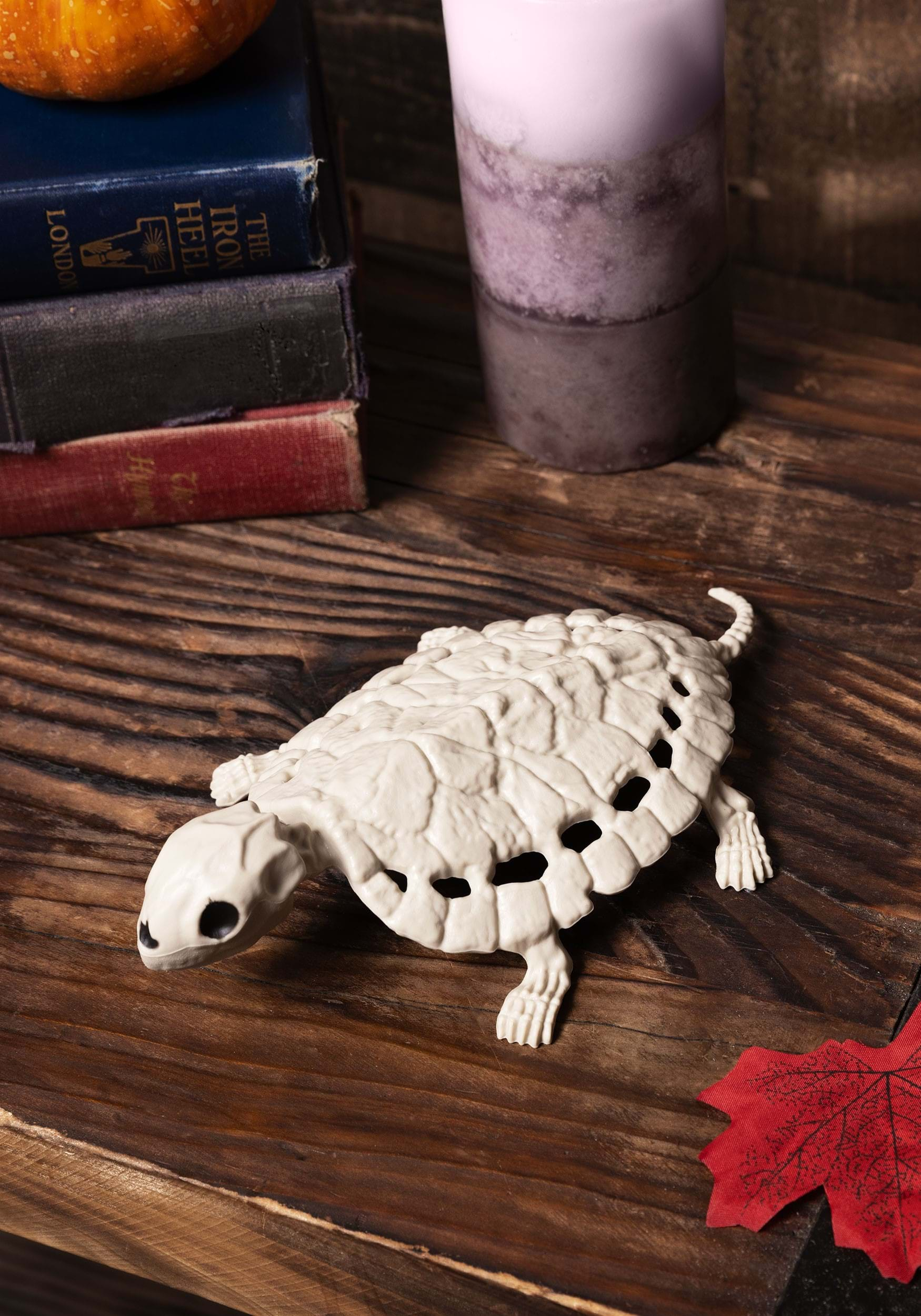 8 Skeleton Turtle Decoration