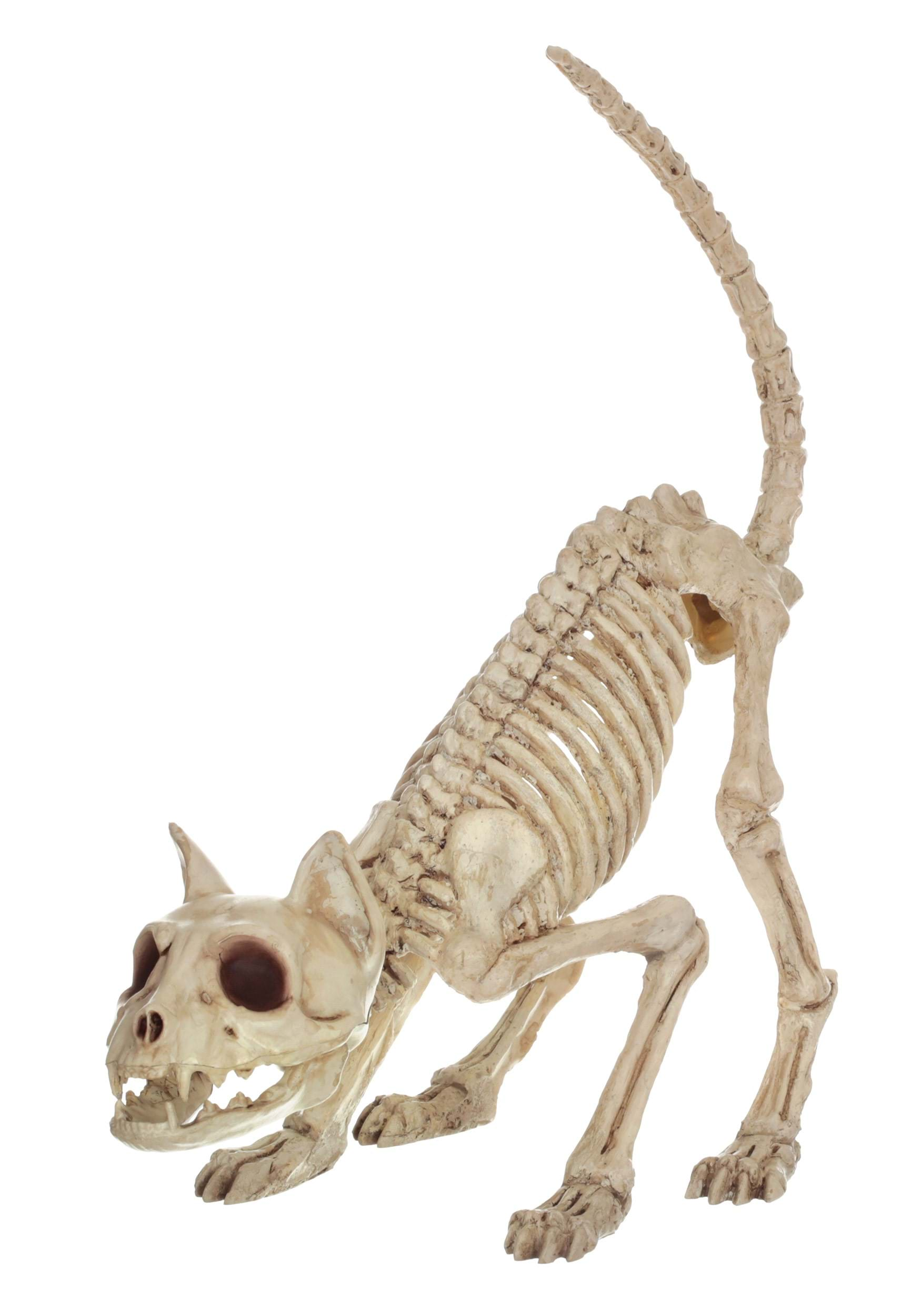 11 Inch Lil' Kitty Skeleton Halloween Prop | Animal Skeleton Decorations