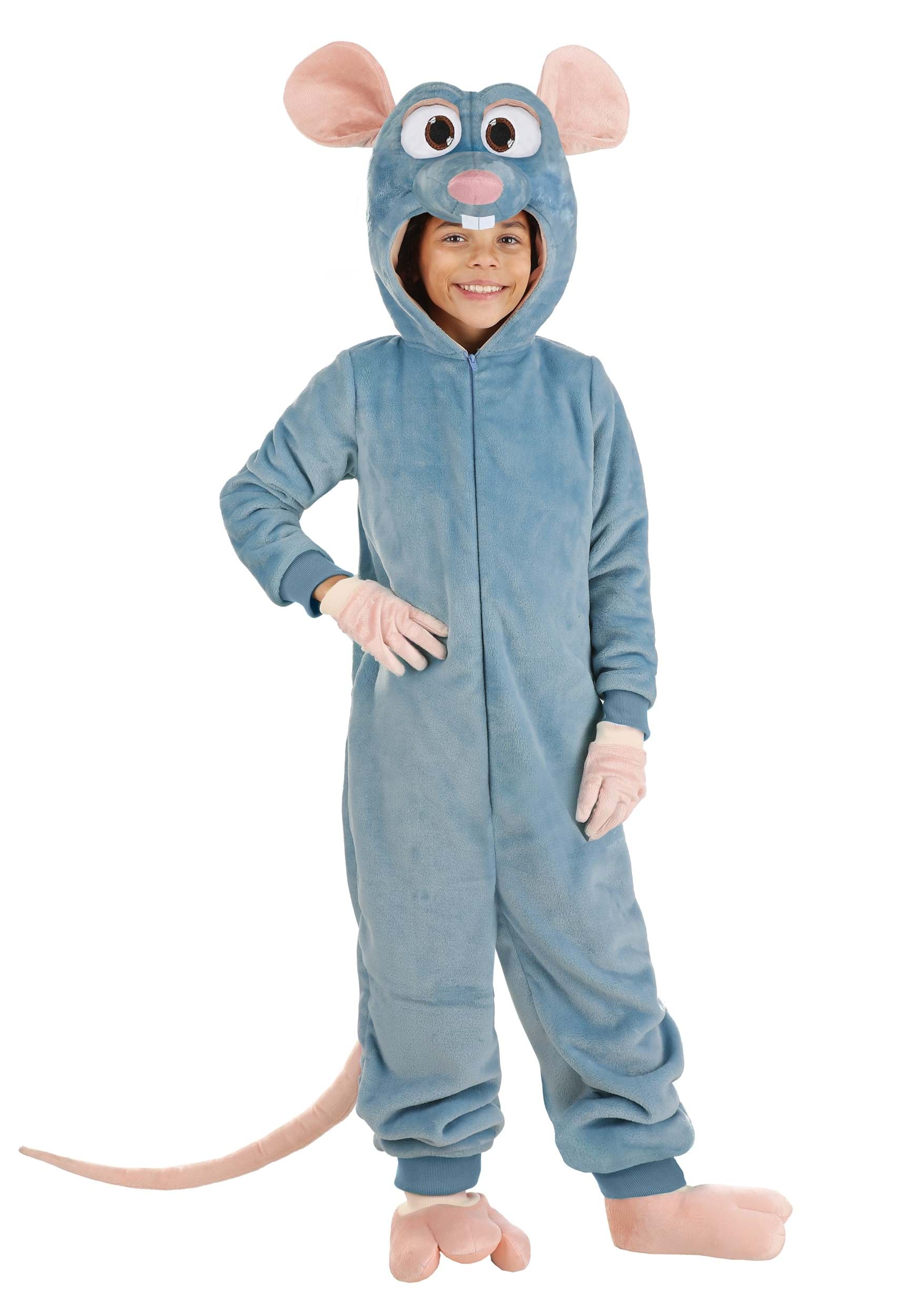 Disney and Pixar Remy Ratatouille Kid