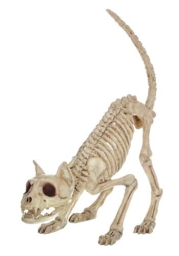 11 Inch Lil' Kitty Skeleton Prop