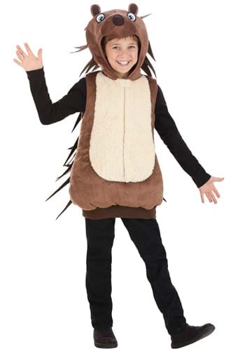 Kid&#39;s Porcupine Costume