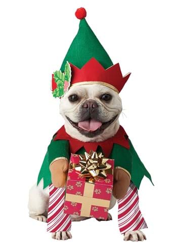 Elf Pet Dog Costume