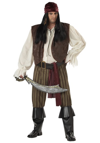 Men&#39;s Plus Size Rogue Pirate Costume