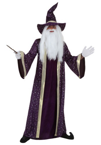 Plus Size Wizard Costume for Men