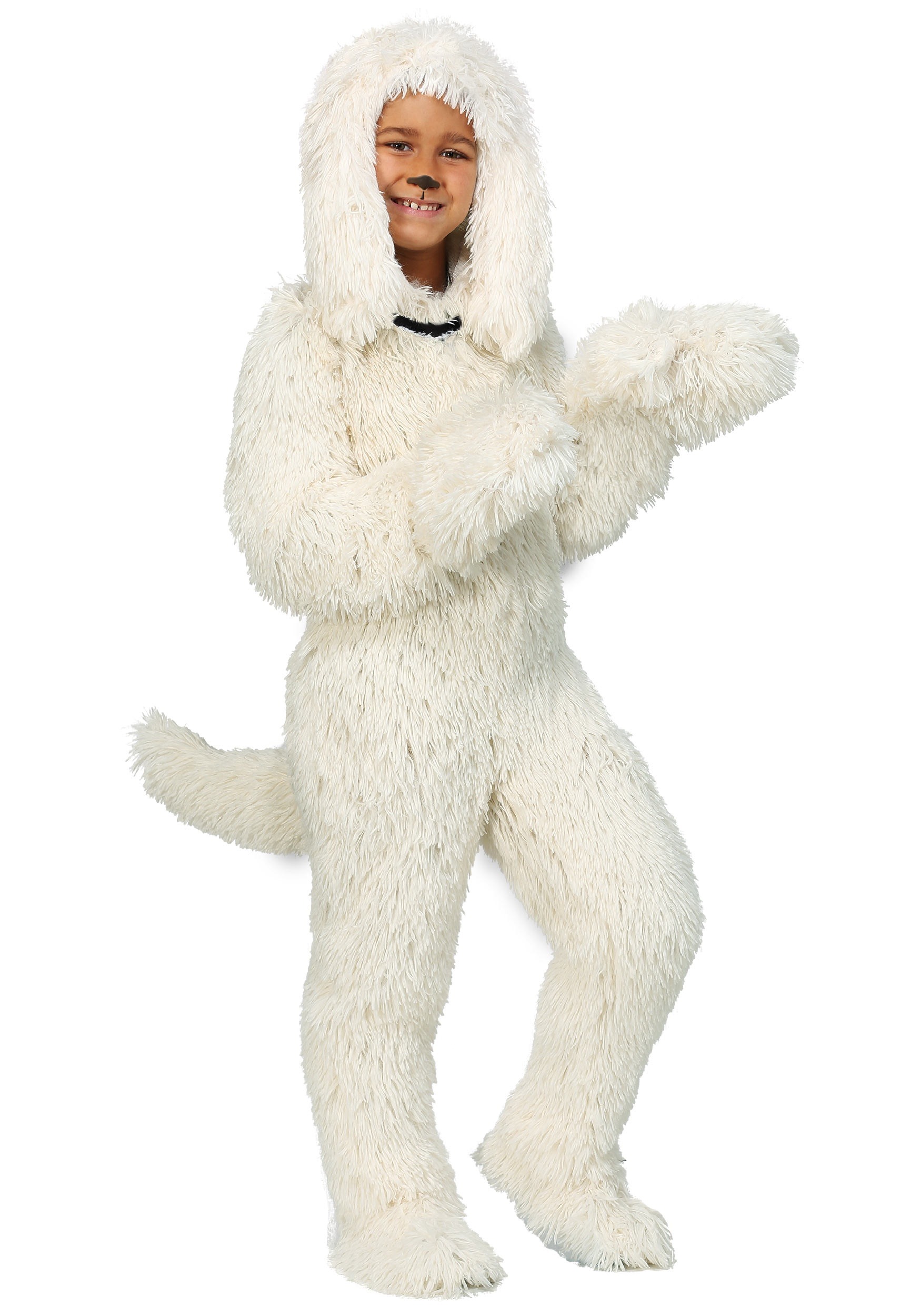 Shaggy Sheep Dog Kid