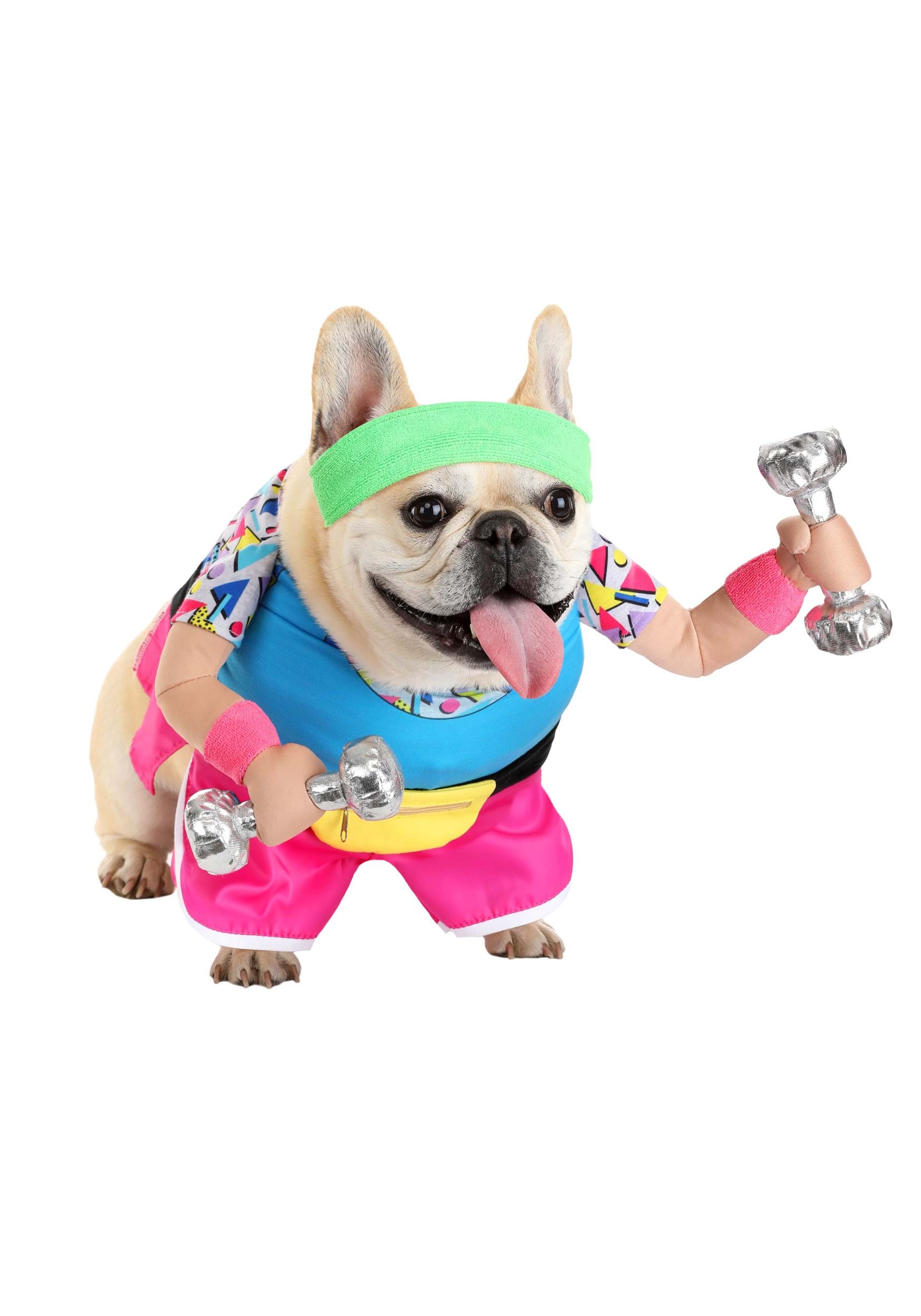 1980s Work Out  Pet Costume | Halloween Pet Costumes