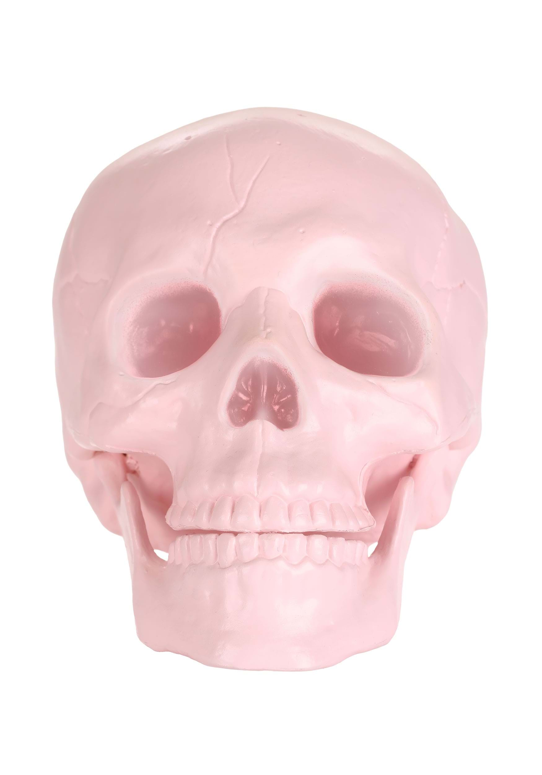 Pink Pastel Skull Halloween Prop | Skulls & Skeleton Decorations