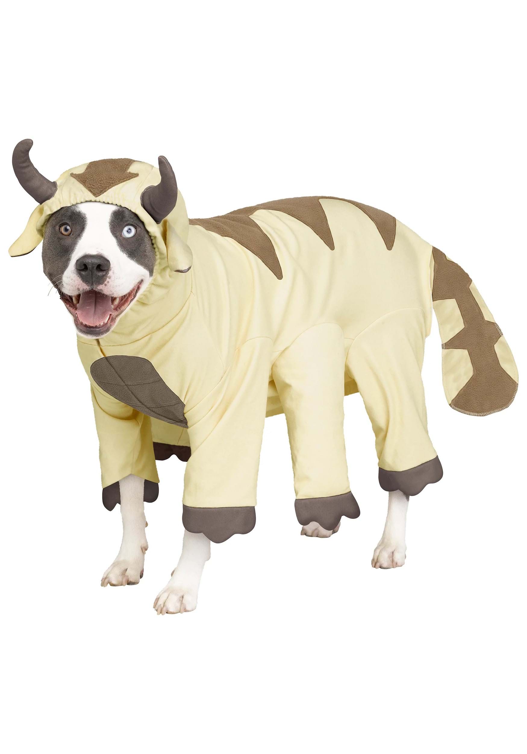 Avatar Appa Pet Dog Costume